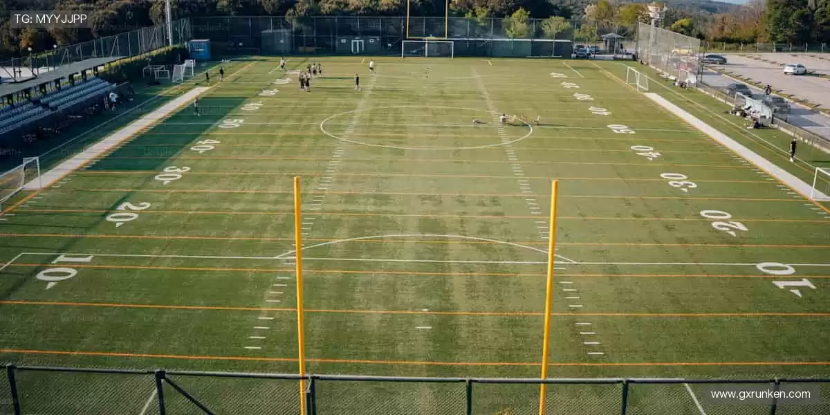 🎯 精准直播，互动不停！💬